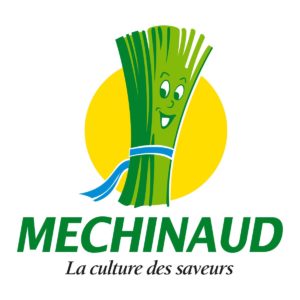 MECHINAUD NANTES MIN SECURITE